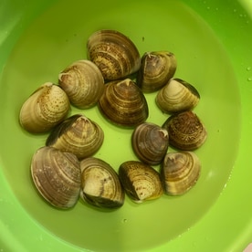 簡単にできる はまぐりの塩抜き方法 レシピ 作り方 By つくレポ即日チェック Panda 楽天レシピ 簡単にできる はまぐりの塩抜き方法 レシピ 作り方 By つくレポ即日チェック Panda 楽天レシピ